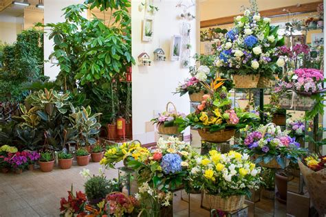 Дешевый Магазин Комнатных Цветов — Vik-shoping.ru