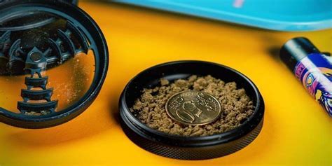 Kief What It Is And How To Make It Zamnesia Uk