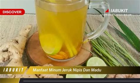 Temukan Manfaat Minum Jeruk Nipis Dan Madu Yang Wajib Kamu Ketahui