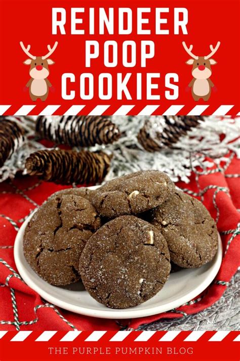 Reindeer Poop Cookies Mint Choc Chip Cookies For The Holidays