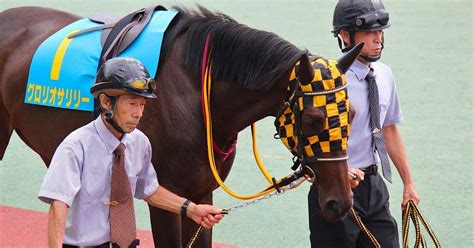 2024 2 14（水）競馬予想結果｜jra・競馬予想