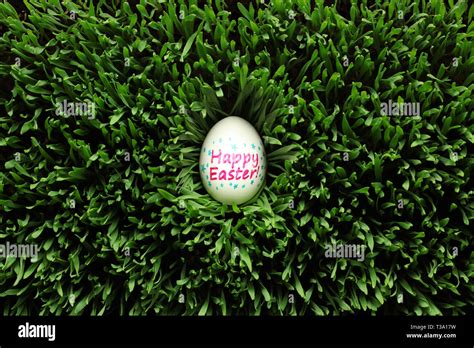 Hidden in grass hi-res stock photography and images - Alamy 