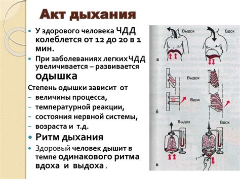 Болезни органов дыхания - презентация онлайн