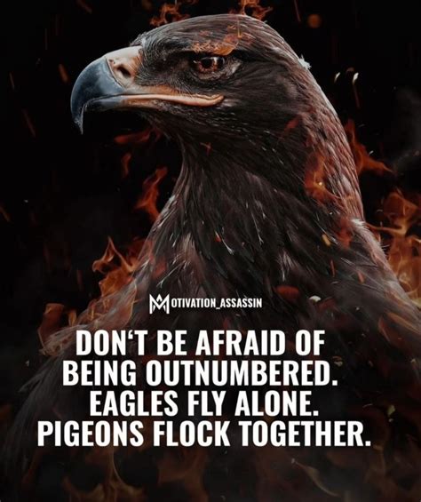 Vikram Verma on LinkedIn: #soarlikeaneagle #independentmindset # ... 