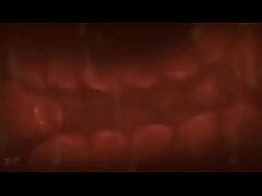 Internal View Of Pussy Vs Cock Xxx Mobile Porno Videos Movies IPornTV Net