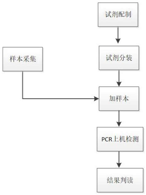 一种眼科常见病毒的多重pcr检测的引物探针组、检测方法及试剂盒与流程