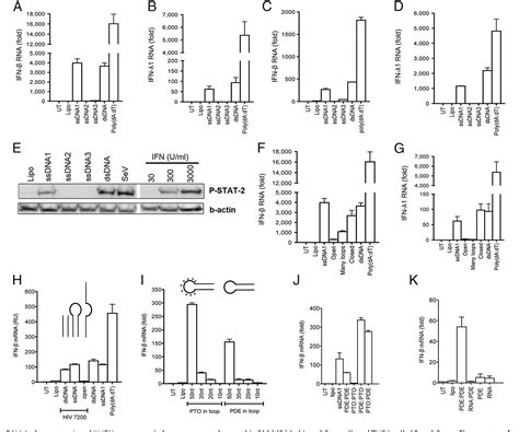 Figure 1 from IFI16 senses DNA forms of the lentiviral replication ... 