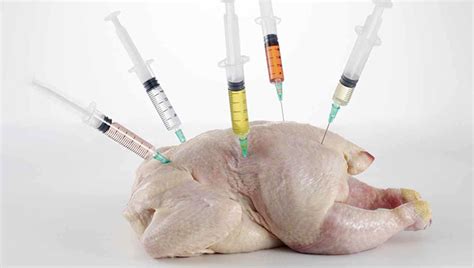 Новости компании НАТУРЕЗА