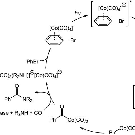 Plausible Catalytic Cycle For The Cobalt Catalyzed Aminocarbonylation