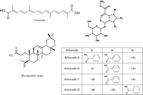 Phytochemicals Present In Nyctanthes Arbor Tristis Download