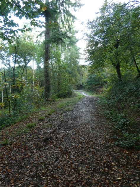 Path Through Stoke Woods Near Exeter © David Smith Geograph Britain