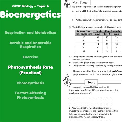 Photosynthesis Home Learning Worksheet Gcse Teaching Resources