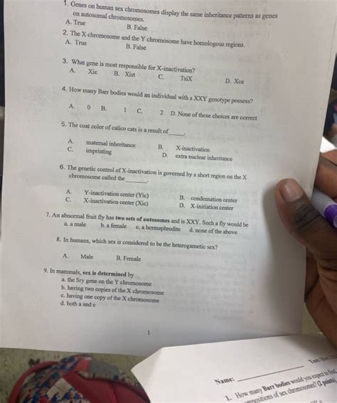 Solved Genes On Human Sex Chromosomes Display The Same Chegg