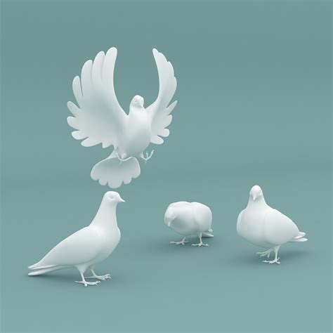 Dove 3d Max