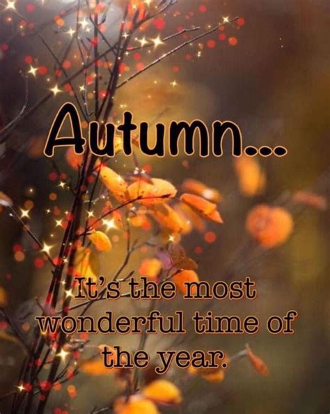 Chasing MY Life WHEREVER it Leads Me – Page 4