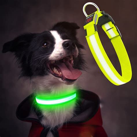 Light Up Dog Collars LED Dog Collar USB Rechargeable, Vizbrite High ...