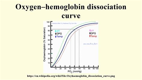 Oxygen Hemoglobin Dissociation Curve Cloudshareinfo 26724 Hot Sex Picture