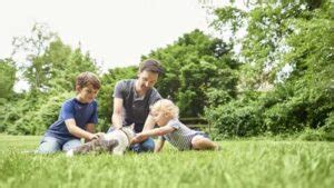 How To Make Centipede Grass Spread The Ultimate Guideline