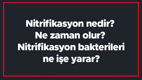 Nitrifikasyon nedir Ne zaman olur Nitrifikasyon bakterileri ne işe yarar