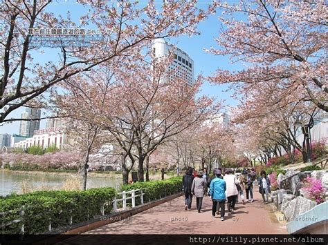 ㉔首爾．蠶室站｜三訪「石村湖」櫻花環湖美到翻還能看到樂天世界及樂天世界塔 我在前往韓國旅遊的路上