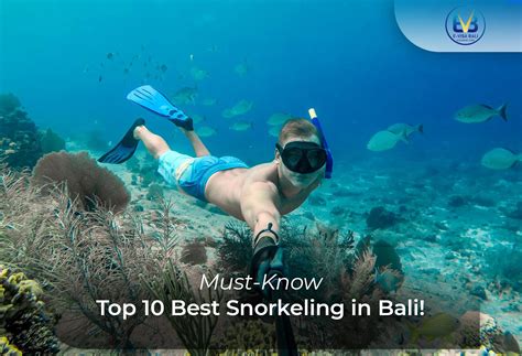 Must Know Top 10 Best Snorkeling In Bali E VisaBali