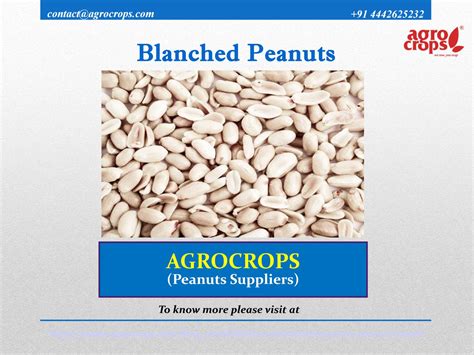 Know About Blanched Peanuts By Agrocrops Exim Limited Issuu