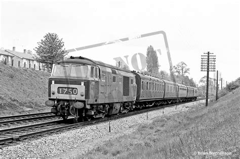 Rail Online Class 35 Hymek D7028 1964 05 19 Reading West