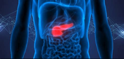 Pancreatic Cancer Cure Reprogrammed Cells Tame Disease Thats Almost