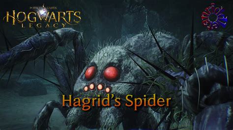 Hogwarts Legacy The Absconder Hagrid Spider 4k60p HDR Solo Hard