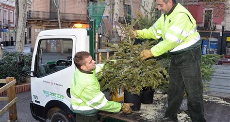 MAPA Barcelona Habilita 227 Punts De Recollida Darbres De Nadal