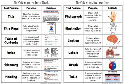 Text Features 4th Grade