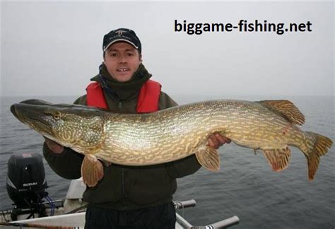 Рыбалка в Германии | Big Game Fishing — экзотическая морская рыбалка, и ...
