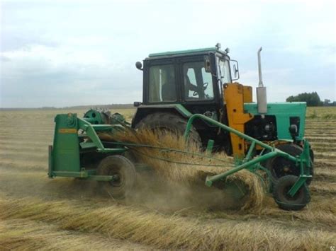 Презентация по трудовому обучению по теме "Лён. Льняное волокно ...