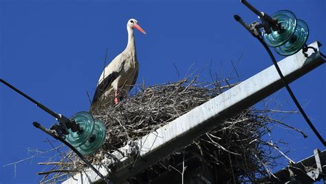 Une coupure d électricité dans un village de Moselle à cause d un