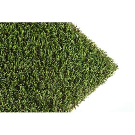 ProGrass Pro100 Apple 15-ft Cut To Length Artificial Grass P100A-8215 ...