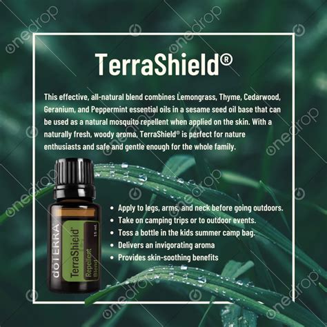 TerraShield Uses And Benefits Summer Essential Oils Summer Camps