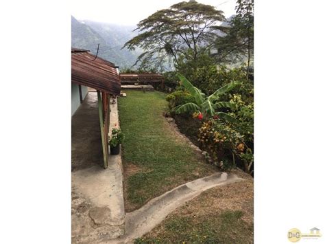 VENDO FINCA EN SAN VICENTE DE CHUCURI 315 000 000 COP