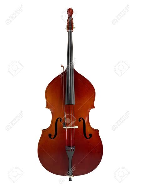 Double Bass Clipart Free Images At Vector Clip Art Online Royalty Free And Public