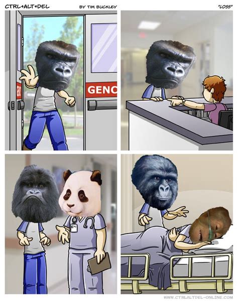 [Image - 329812] | Dying Orangutan | Know Your Meme