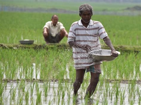 Loan Waiver Farmers Loan Up To Rs Lakh Waived This State Government