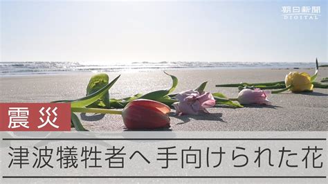 【東日本大震災】発生12年 津波の犠牲者に手向けられた花 福島・いわき市 Youtube