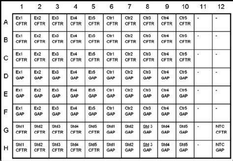 96 Well Pcr Plate Template Tutoreorg Master Of Documents