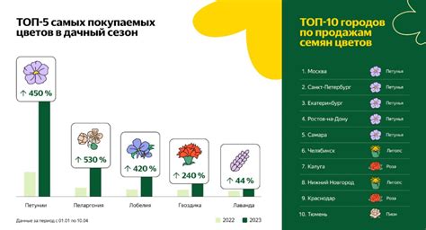 Яндекс Маркет назвал самые популярные цветы для сада | New-Retail.ru