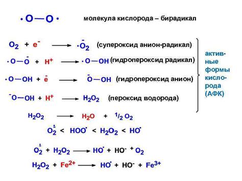 Химия биомолекул и наносистем Лекция 1 2012