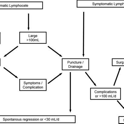 Diagram showing the relation between lymphocele volumes and its ...