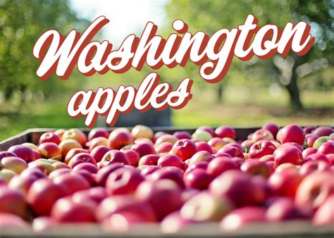 Washington Apple Growers Whats Ahead For This Seasons Crop The Packer