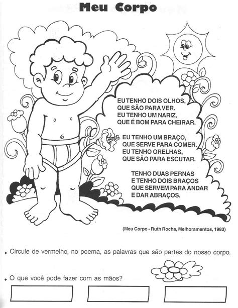 ATIVIDADES CORPO HUMANO 3 4 5 6 ANOS EXERCÍCIOS CIÊNCIAS PARA