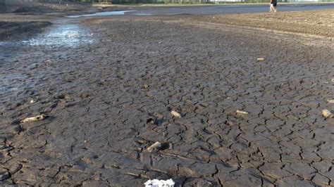 Uruguay Decreta Emergencia Tras Siete Meses De Sequía Diario Libre