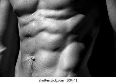 Defined Male Naked Torso Well Royalty Free Images Stock Photos