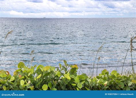 Sky Sea Land Stock Photo Image Of Fluffy Tropical 95837084